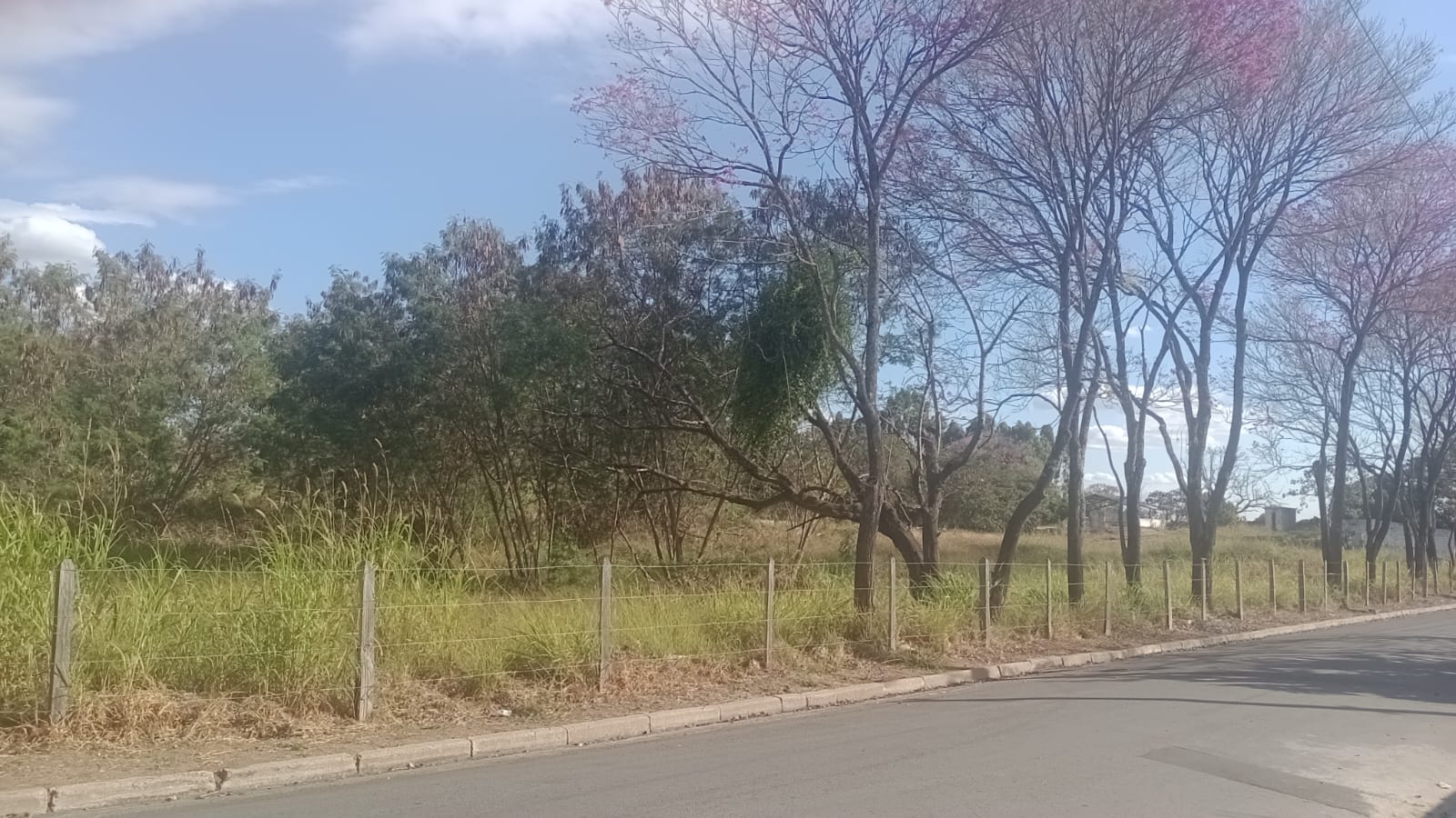 Terreno à venda no bairro Moreira César, sem construções